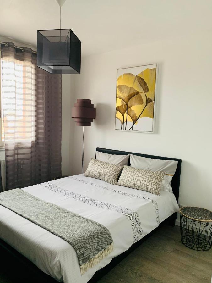 St Louis Appartement Roanne Eksteriør billede